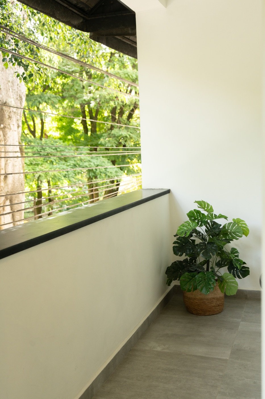 Private balcony with monstera plant overlooking the tree canopy